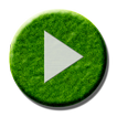 Poweramp Skin Green Forest