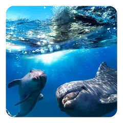 Скачать Dolphin 3D Live Wallpaper APK