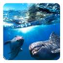 Dolphin 3D Live Wallpaper APK