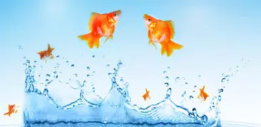 Gold Fish Live Wallpaper