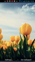 برنامه‌نما Spring Flowers Live Wallpaper عکس از صفحه