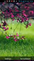 برنامه‌نما Spring Flowers Live Wallpaper عکس از صفحه