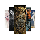 Animal HD Wallpapers APK