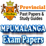 Mpumalanga Past Papers