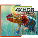 Wallpapers 4K biểu tượng