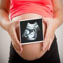 Pregnancy and ultrasound guide APK