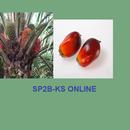 SP2B-KS Online aplikacja