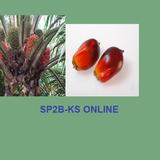 SP2B-KS Online أيقونة