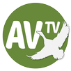 Av TV APK