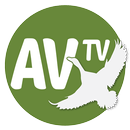 Av TV APK