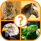 Animal Trivia Quiz - Guess the Animal Game 圖標