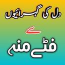Urdu Status Urdu Poetry APK