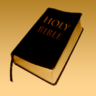 Bible book ikona