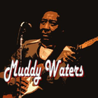 Muddy Waters Best Song Musics icône