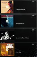 Muddy Waters Best Song Musics capture d'écran 1
