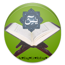 Yaseen Shareef APK