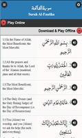 Quran Insight capture d'écran 2
