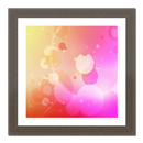 Duo Picture Frame APK