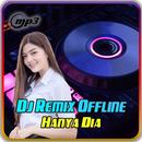 Dj Hanya Dia Viral 2022 APK