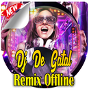 Gudang Lagu Dj Remix 2020 APK