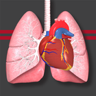 STS Cardiothoracic Surgery আইকন