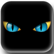 Phone eyes