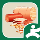 Salumi APK