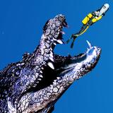 Under Water Alligators Hunting : Sea Monsters icon