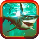 Underwater Wild Shark Hunting