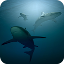 Underwater Wallpapers APK