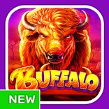 Wild Buffalo