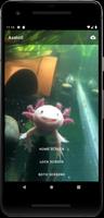 Axolotl Wallpaper Cute HD screenshot 2