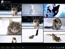 Cats in snow capture d'écran 3