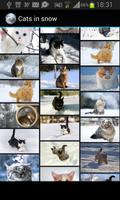 Cats in snow capture d'écran 1