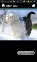 Cats in snow Screenshot 2