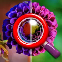 Find Image Difference APK download