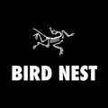 Bird Nest