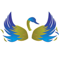 Home Cisne Azul