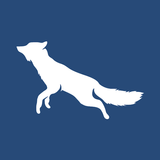 Vulpe icon