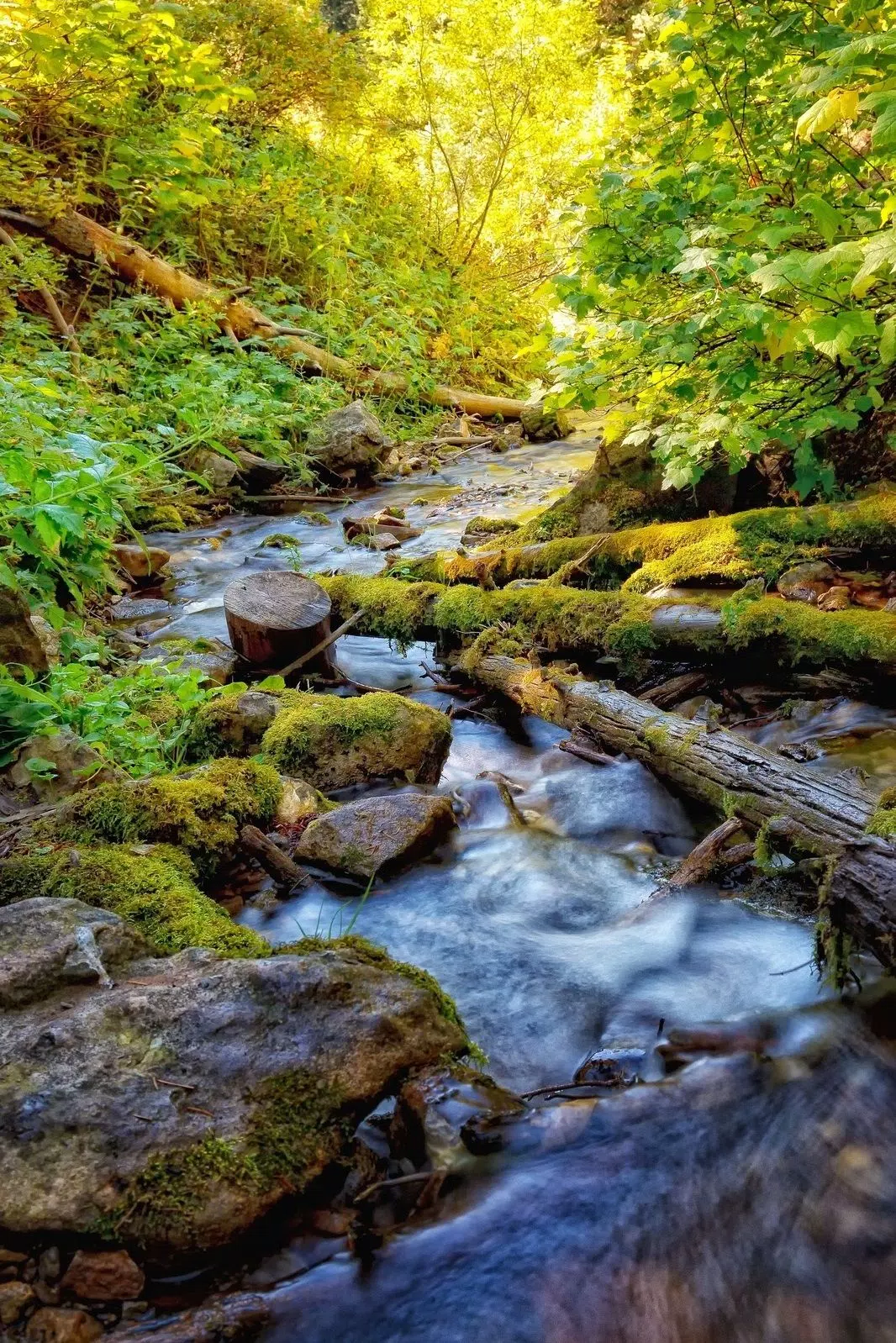 Unique Nature Live Wallpapers HD, Nature images 4K APK for Android Download Unique Nature Live Wallpapers HD, Nature images 4K APK for Android Download
