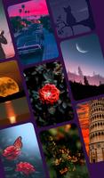 Max HD Wallpapers Affiche