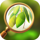 Magnifier; magnifying glass Zeichen