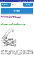 জিম করুন নিজ ঘরেই- GYM Guide capture d'écran 2