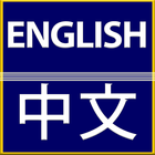 Translate English to Chinese ikona