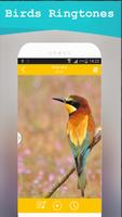 Peaceful Birds Ringtones : Top Ringtones screenshot 3