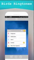 Peaceful Birds Ringtones : Top Ringtones الملصق