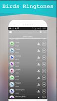 Peaceful Birds Ringtones : Top Ringtones скриншот 1