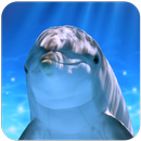 Tap Dolphin -3Dsimulation game APK
