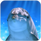 Tap Dolphin icon