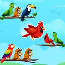 APK Bird Sort Puzzle - Bird Games